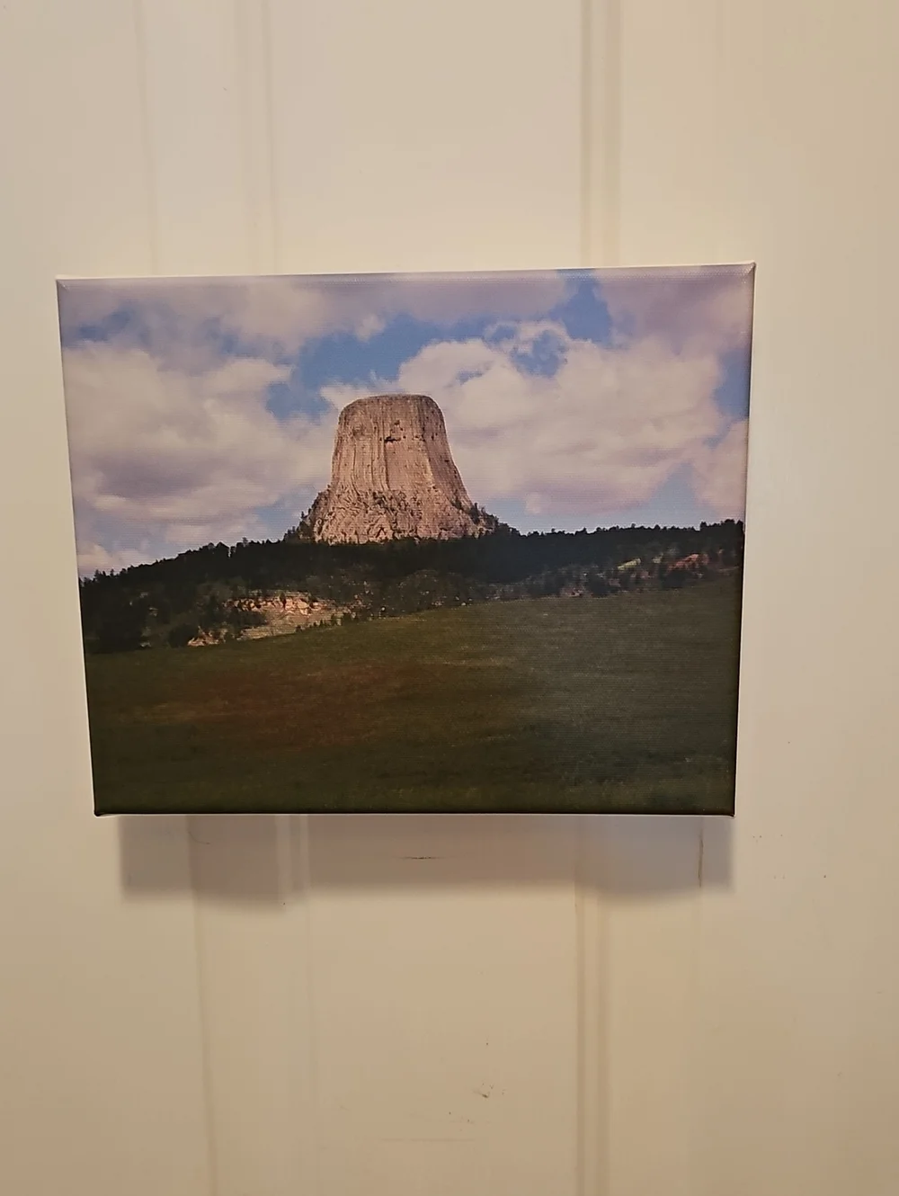 Scenic Devils Tower Canvas Wall Art - Blue, Green, White